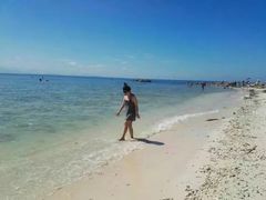 -东姑阿都拉曼海洋公园