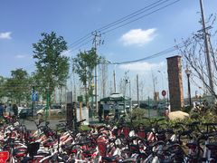 -上海浦江郊野公园-2号停车场