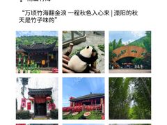 -紫藤园·天目湖大鱼头(南山竹海店)