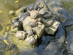 -南岳衡山风景名胜区-南岳大庙