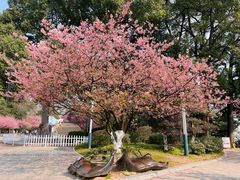 -南山植物园