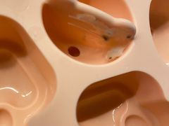 -天鹅到家·保姆月嫂育儿嫂(天河店)