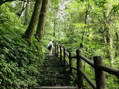 -龙苍沟森林公园