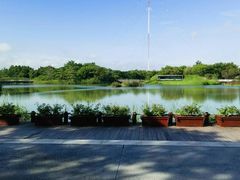 -福田红树林生态公园