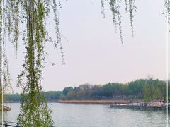 -大兴滨河森林公园