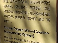 -北京国子监胡同