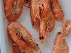 -红月湾海鲜饭店•沙滩海景(双月湾店)