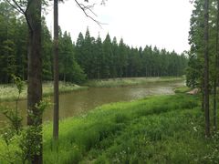 -黄海国家森林公园