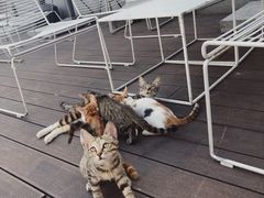 -UNI UNI(环亚凯瑟琳店)