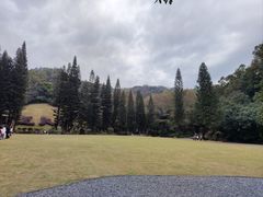 -深圳仙湖植物园