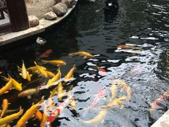 -湖鲜楼
