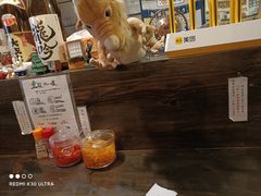 -金龙咖喱