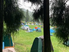 -武陵山森林公园