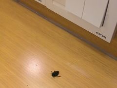 -苏州香山国际大酒店