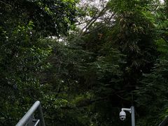-佛山华盖山公园