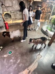 -Zoolung Zoolung动物主题公园(海信广场店)