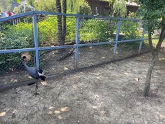 -上方山森林动物世界