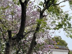 -广州永庆坊瞻云精选酒店