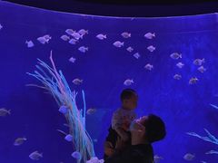 -沈阳海洋探索中心