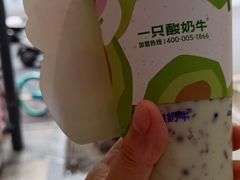 -一只酸奶牛(春熙路店)