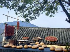 -篁岭景区