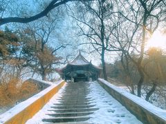 -望溪公园