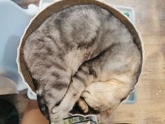 -小时光咖啡馆(北锣鼓巷店)