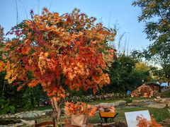 -HERRE·FARM 赫尔露营农场·团建聚会包场