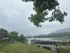-东梓关景区村庄