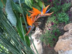 -南通洲际绿博园