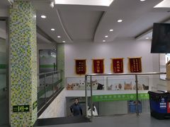 -爱侣宠医·鹦鹉专科·小型哺乳类·异宠专科(灵石路店)