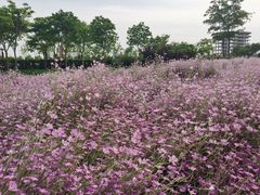 -歌斐颂巧克力小镇