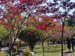 -黄牛肉馆·皖南土菜