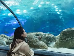 -大连圣亚海洋世界