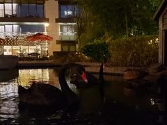 -南京圣和府邸豪华精选酒店