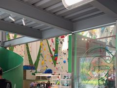 -绿壁虎攀岩基地(Tcar店)