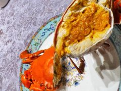 -新光酒家·河豚·海鲜·蟹料理(浦东店)