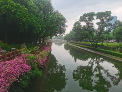 -顺峰山公园