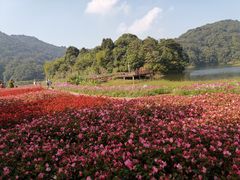 -广州市石门国家森林公园