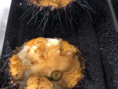 -海胆小馆(东北水饺·春柳店)