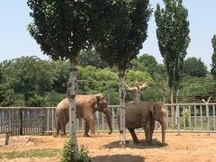 -石家庄市动物园