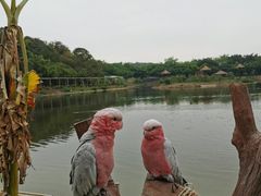 -李小龙乐园(顺德均安店)