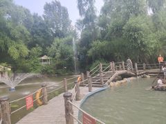 -大鹅岛绿色生态美食园