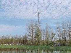 -溱湖国家湿地公园
