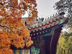 -香山公园