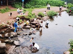 -重庆彩云湖湿地公园