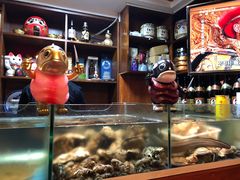-樱の花亭日本料理店