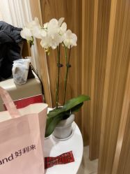 -Yestar宁波艺星整形医院