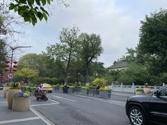 -鸡鸣赐茶(鸡鸣寺路店)