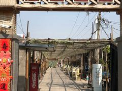-亲兄弟真人CS团建拓展基地